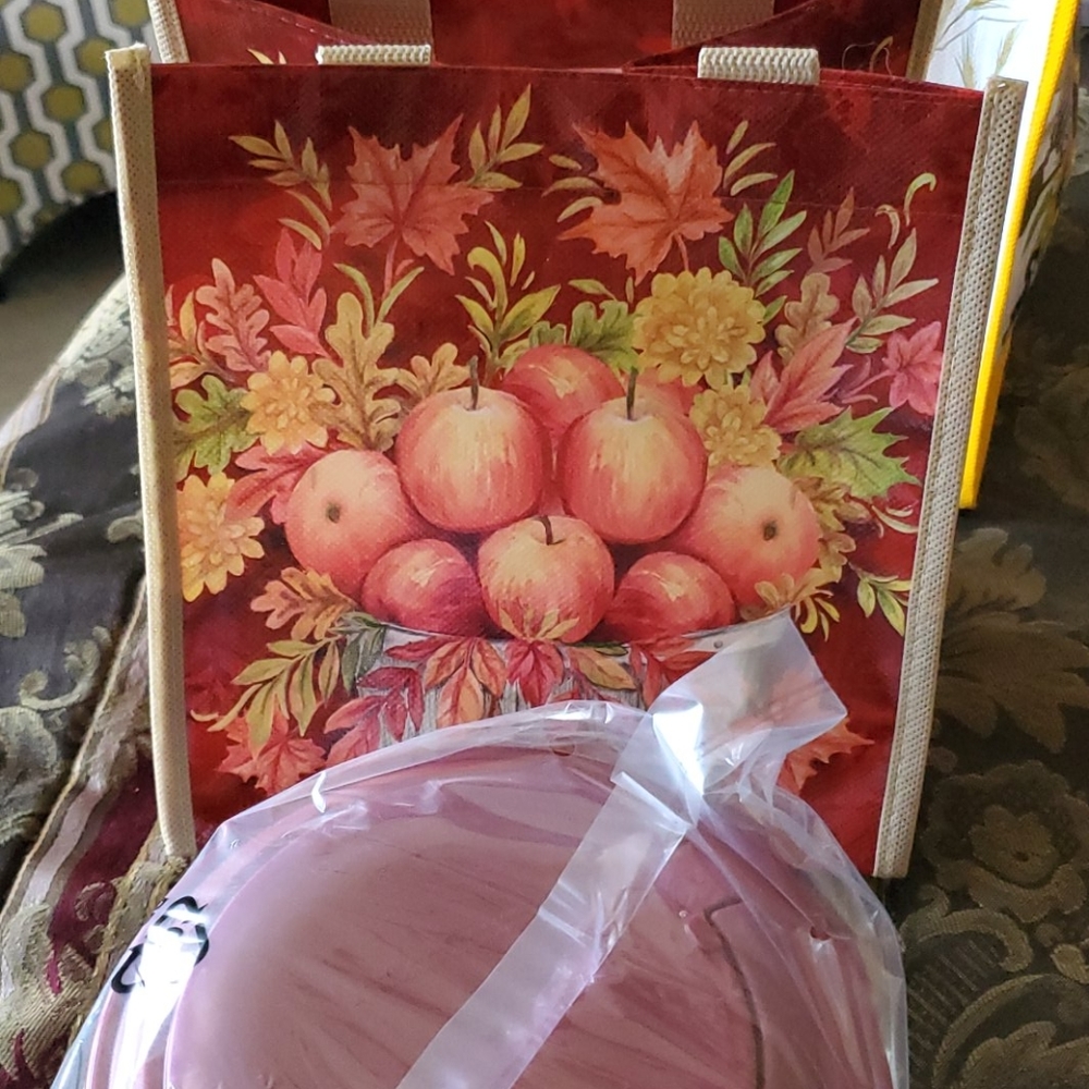 Lock and lock duo matching bag and handle containe